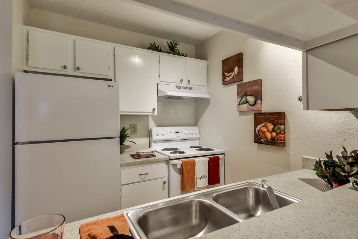 Nichols Park Apartments in Austin, TX RENTCafe